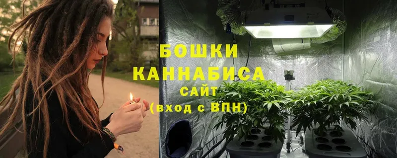 Канабис SATIVA & INDICA  где продают наркотики  Грязи 